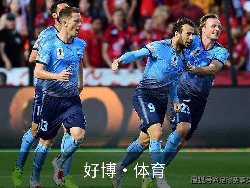 走进好博·体育